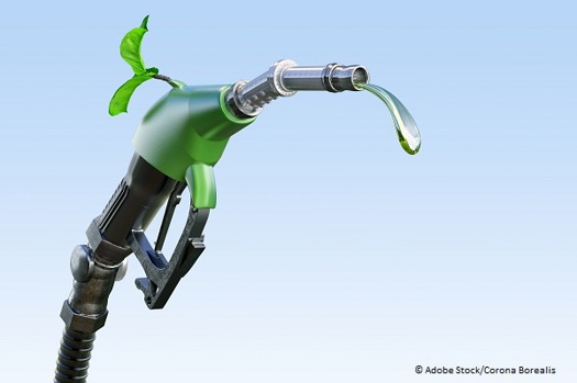 Zapfpistole mit Biokraftstofftropfen und wachsendem grünen Spross, der die Umweltfreundlichkeit symbolisiert